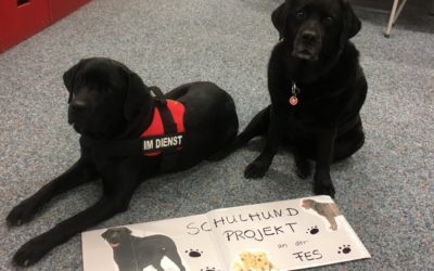 Schulhunde bei der Grundschul-Rallye 2019