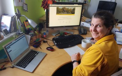 Alles anders und doch irgendwie gleich