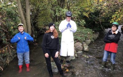 Projektprüfung 2023