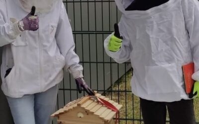 Unser erster Jungimker startet durch!