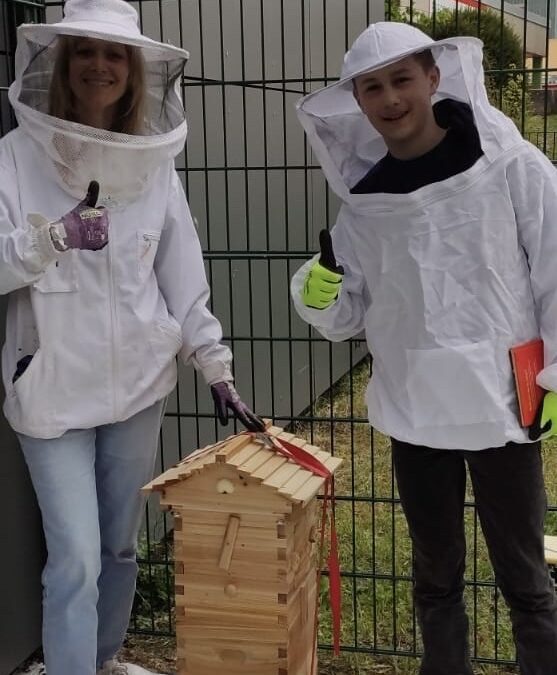 Unser erster Jungimker startet durch!