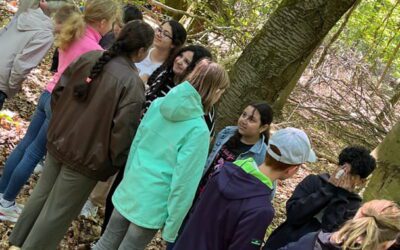 Jahrgang 5 erlebt den Wald als Ökosystem