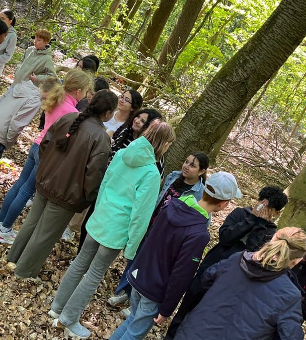 Jahrgang 5 erlebt den Wald als Ökosystem